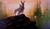 Hintergrund