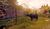 Hintergrund