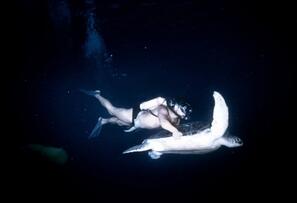 Foto im Vollbild