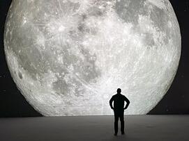 Foto im Vollbild