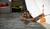 Hintergrund