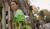 Hintergrund