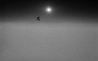 Foto im Vollbild