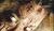 Hintergrund