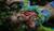 Hintergrund