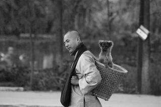 The Dog