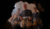 Hintergrund