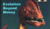 Hintergrund