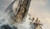 Hintergrund