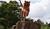Hintergrund