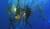 Hintergrund