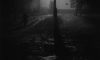 Foto im Vollbild