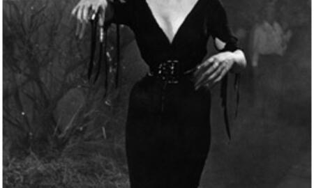Galerie Foto