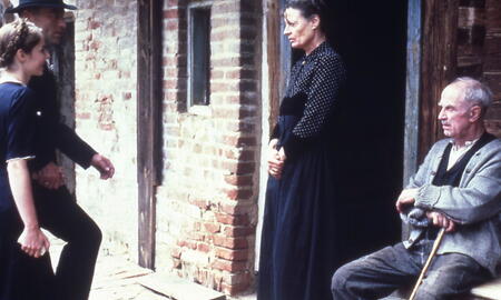 Galerie Foto