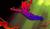Hintergrund