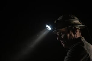 Foto im Vollbild