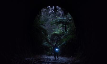 Galerie Foto