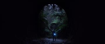 Foto im Vollbild