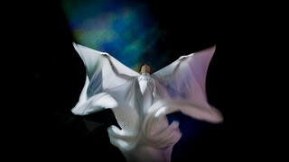 The Extraordinary Miss Flower