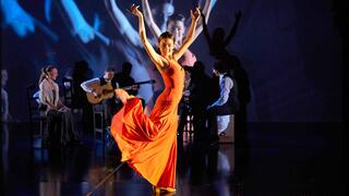 Jota - Mehr als Flamenco 	