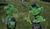 Hintergrund
