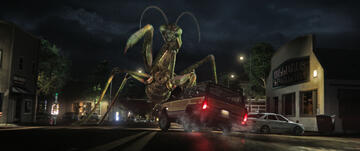 Foto im Vollbild