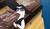 Hintergrund