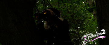 Foto im Vollbild