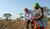 Hintergrund