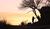 Hintergrund