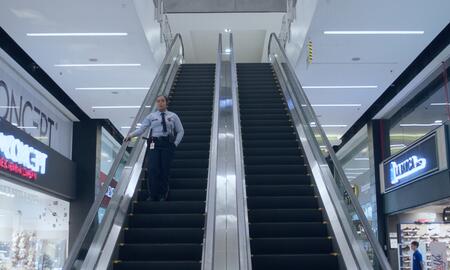 Galerie Foto