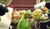 Hintergrund