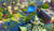 Hintergrund
