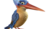 Hintergrund