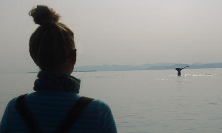 Galerie Foto