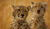 Hintergrund
