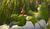 Hintergrund