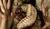 Hintergrund