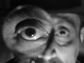Foto im Vollbild