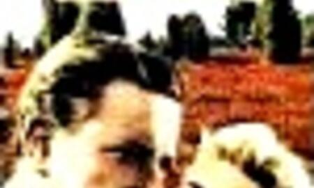 Galerie Foto