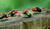Hintergrund