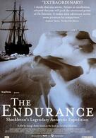 Endurance - Verschollen im Packeis