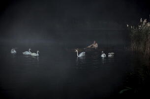Foto im Vollbild