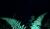 Hintergrund