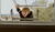Hintergrund