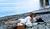 Hintergrund