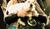 Hintergrund