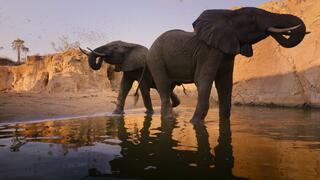 Staffel 1 von Unsere wunderbaren Nationalparks