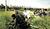 Hintergrund