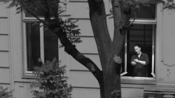 Foto im Vollbild